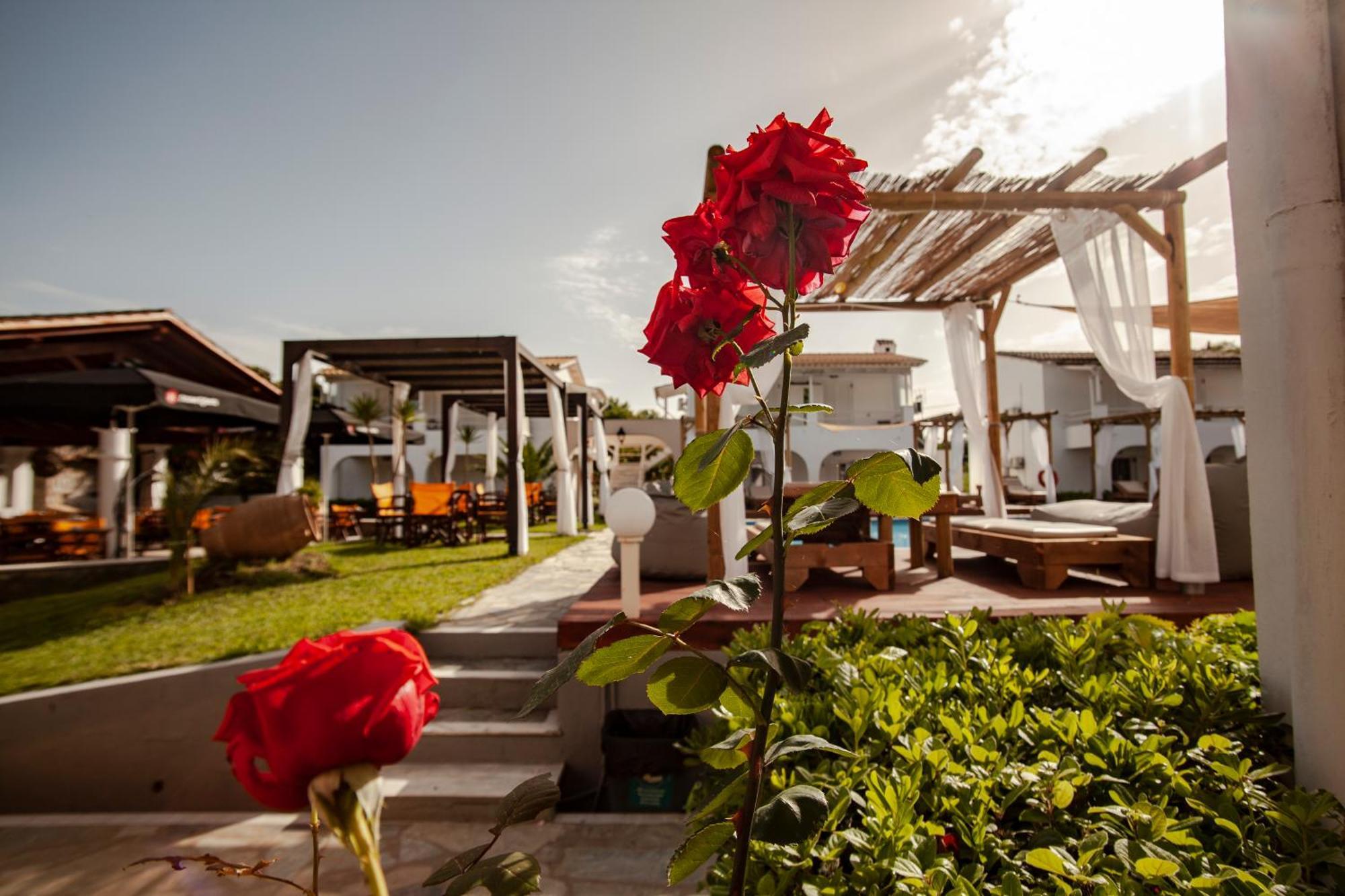 Ζωγραφιά Aparthotel Corfu  Εξωτερικό φωτογραφία